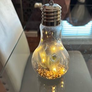 Lighted lightbulb succulent
